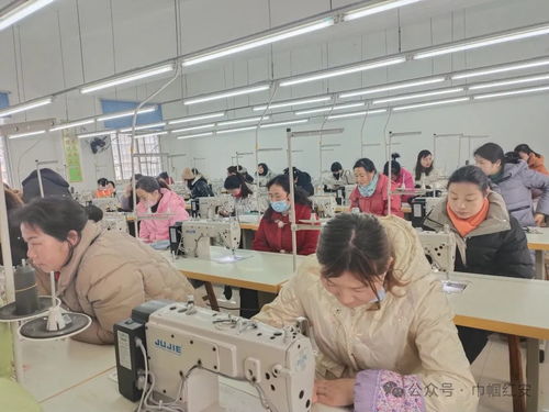 巾幗聯動送技能，多措并舉促就業——信息技術咨詢服務助力婦女零距離發展