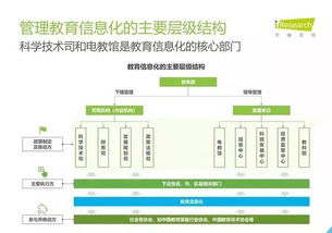 2019年中國教育信息化行業報告 信息技術咨詢服務