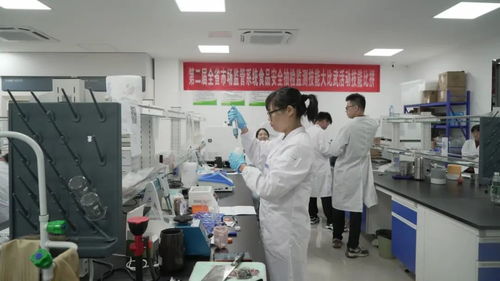 江西全省市場監管系統食品安全抽檢監測技能大比武活動圓滿落幕，信息技術咨詢服務助力監管能力提升